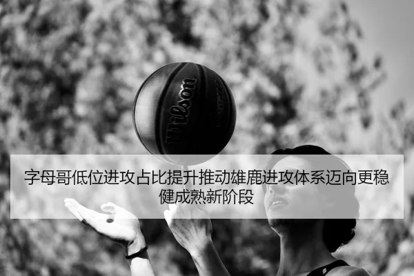 img_1783356270225_313_1_740.jpg